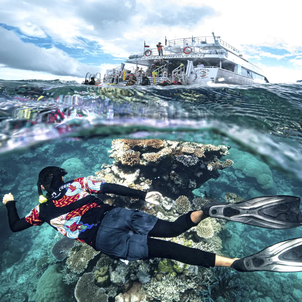 dreamtime snorkelling on the great barrier reef