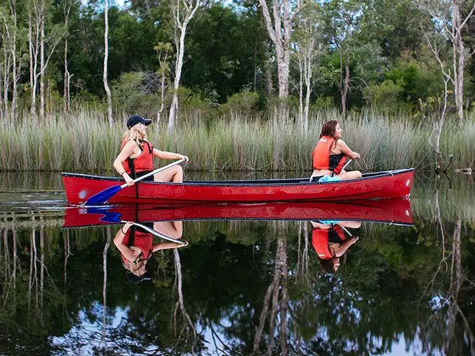 noosa everglades sightseeing