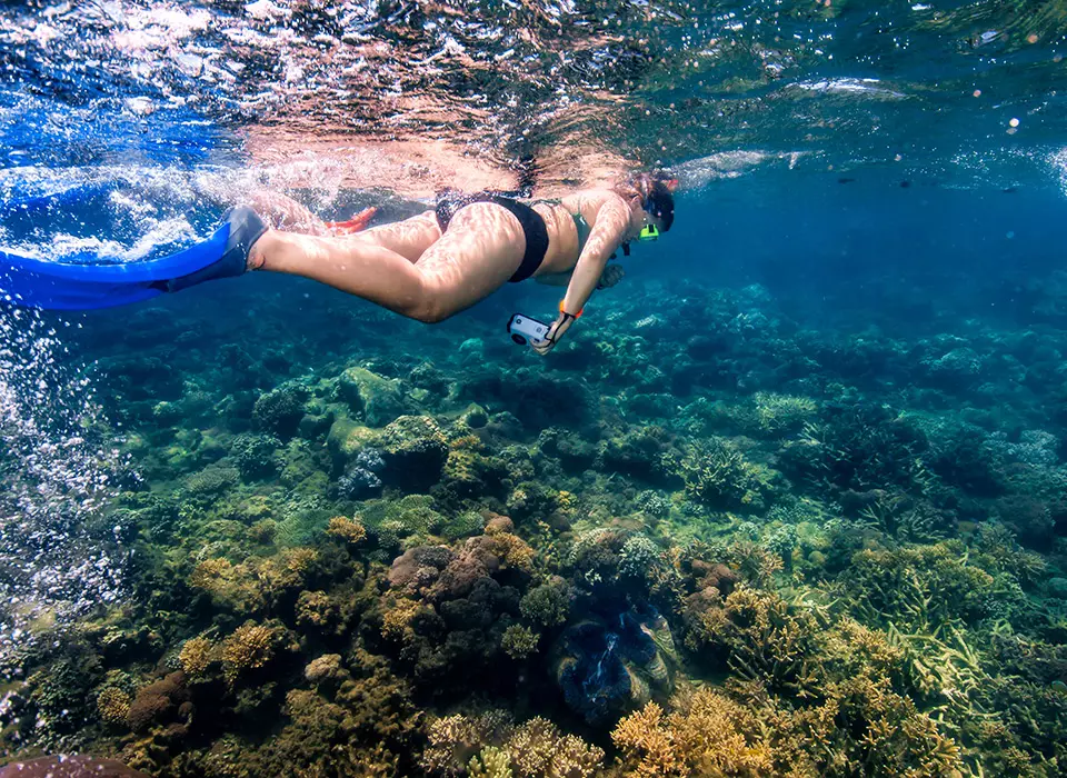 frankland islands snorkel day tour