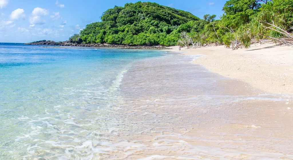 frankland island reef cruise