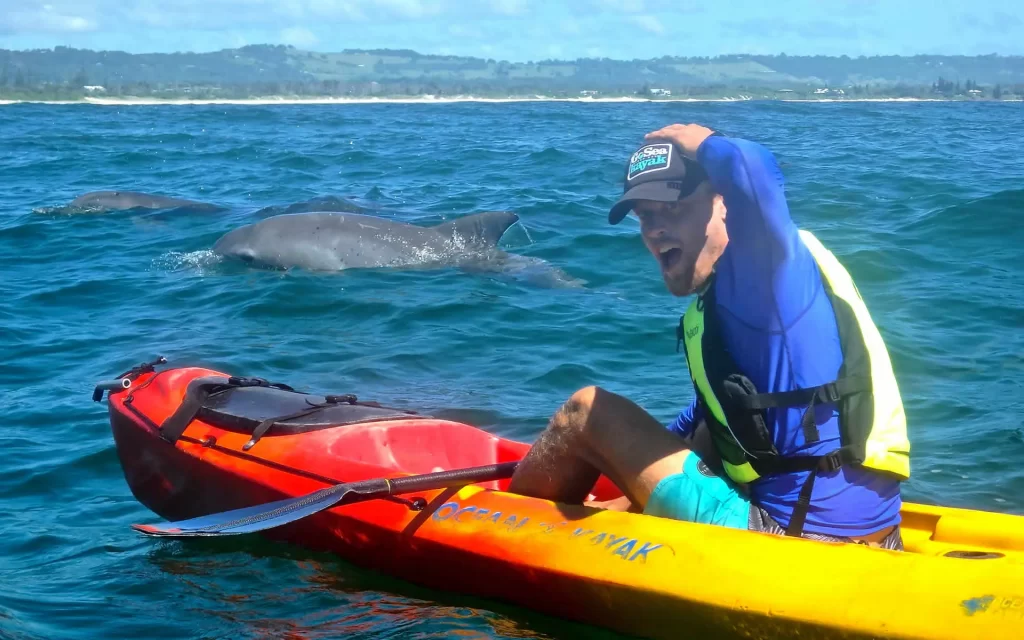 dolphin next to kayak in byron bay