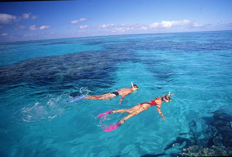 snorkelling on the great barrier reef