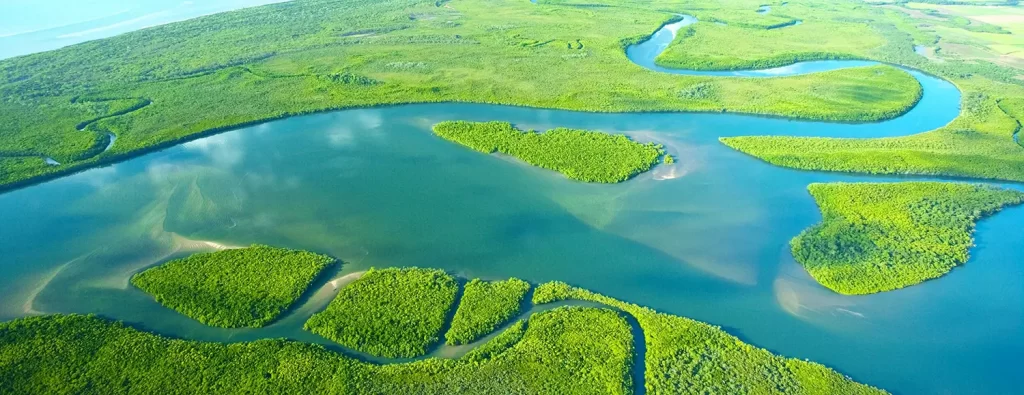Daintree river aerial view