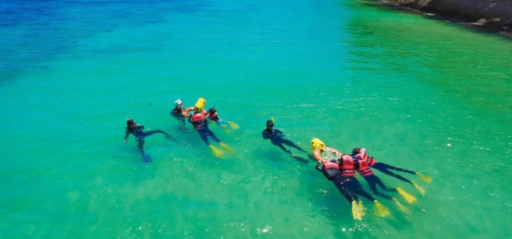 snorkelling green island