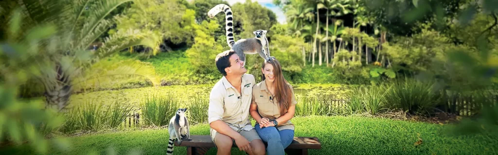 Australia Zoo Entry & Wildlife Hospital Sneak Peak