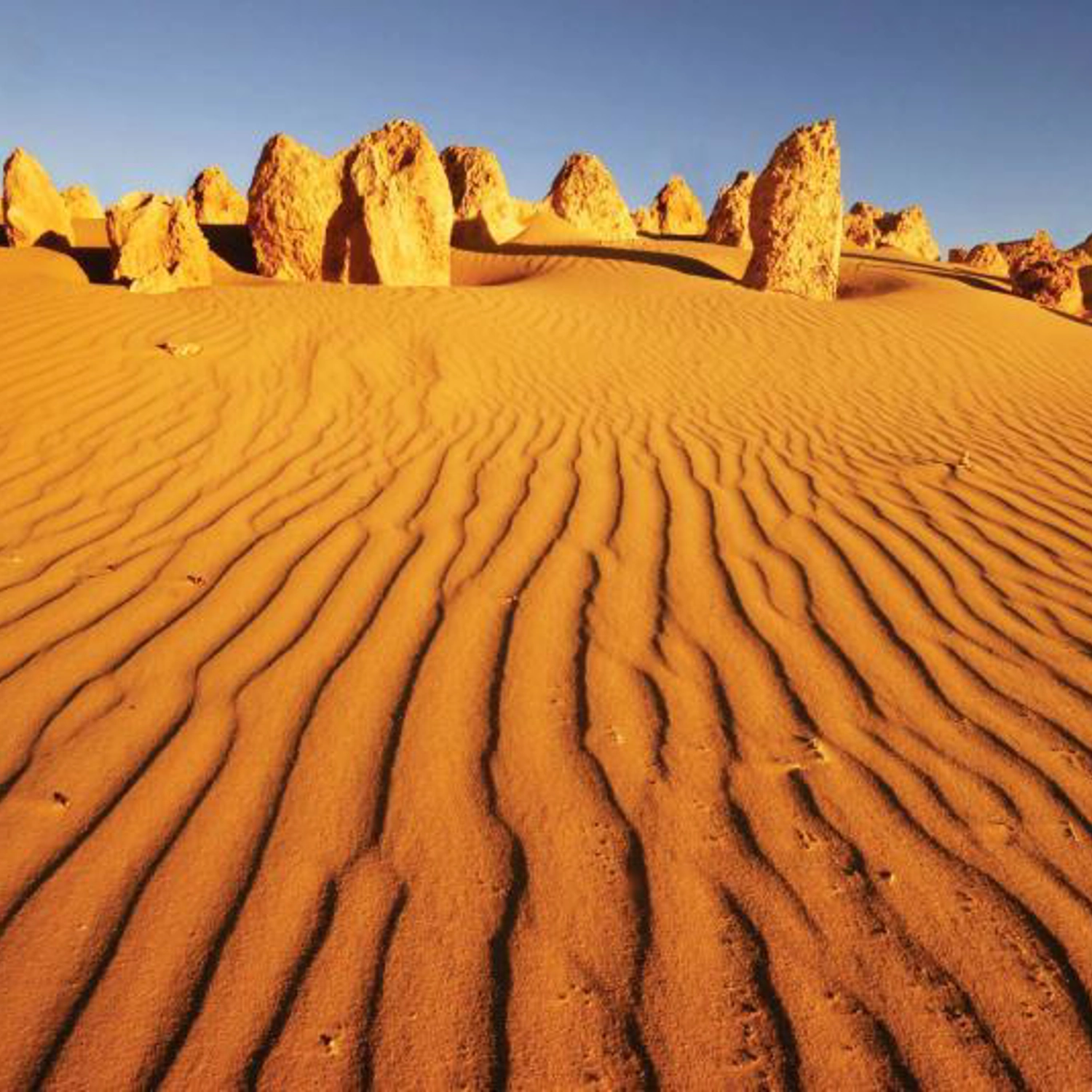 Perth to Exmouth Tour