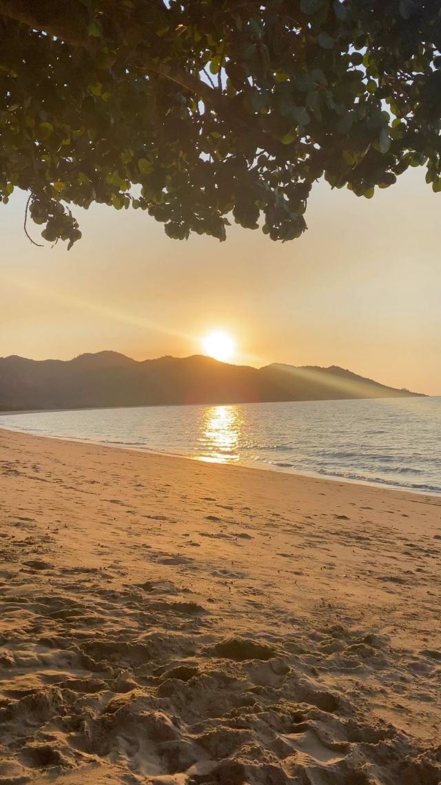 Sunsets on Australia’s beautiful East Coast 🏝️ What are you waiting for? Book your East Coast Journey on our website or send us a message ☀️ 

#EastCoastAustralia #Australiatravel #DiscoverAustralia #SunshineCoast #GoldCoast #seeaustralia