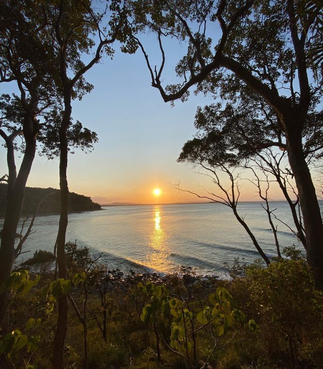 The Sun going down along the beautiful Coastal walk at Noosa National Park today 🫶🏼 

The East Coast is a must when in Australia & we take the hassle out of doing it! Send us a message to discuss our East Coast Packages and we will get you the best deal 🙌🏼 

#EastCoastAustralia #SunshineCoast #australiatravel